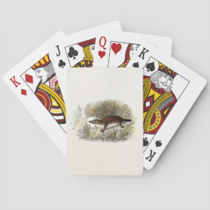 Vintage 1800s Duck Bill Platypus Illustration Playing Cards
