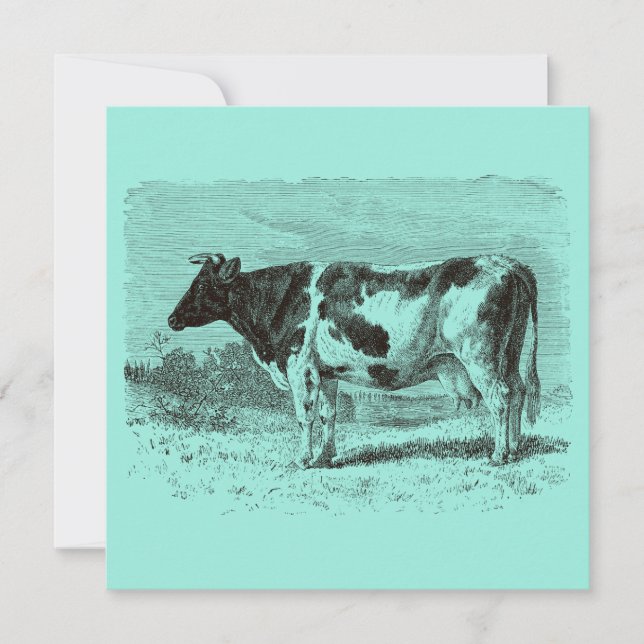 Vintage 1800s Dutch Cow Retro Cows Aqua Blue (Front)