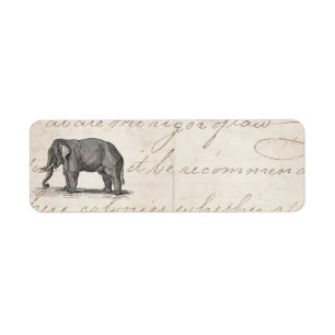 Vintage 1800s Elephant Illustration - Elephants