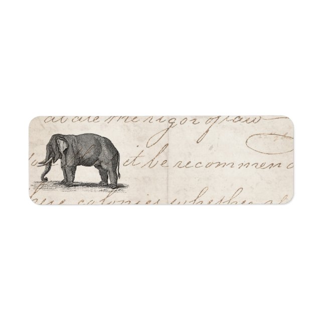 Vintage 1800s Elephant Illustration - Elephants (Front)