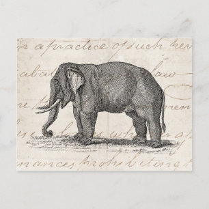 Vintage 1800s Elephant Illustration - Elephants Postcard