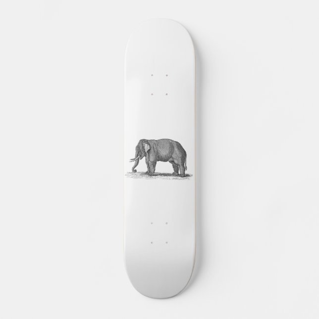 Vintage 1800s Elephant Illustration - Elephants Skateboard (Front)