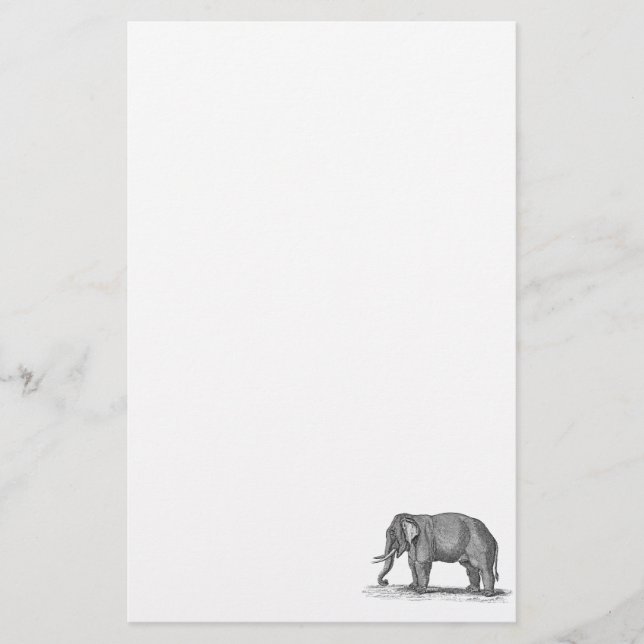 Vintage 1800s Elephant Illustration - Elephants Stationery (Front)