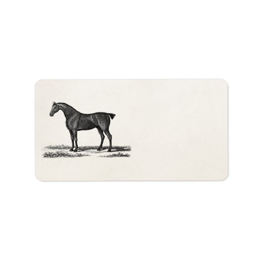 Vintage 1800s English Hunter Horse Hunting Horses Address Label