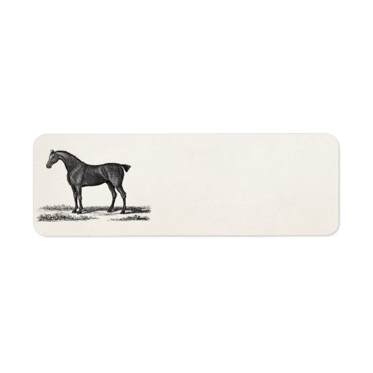 Vintage 1800s English Hunter Horse Hunting Horses Return Address Label