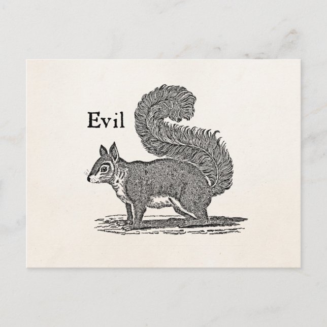 Vintage 1800s Evil Squirrel Illustration Postcard (Front)