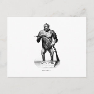 Vintage 1800s Gorilla - Apes and Gorillas Template Postcard