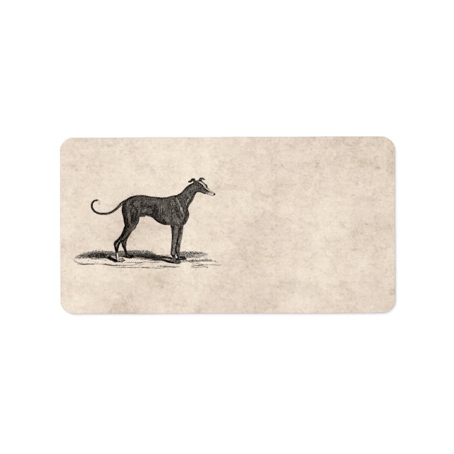 Vintage 1800s Greyhound Dog Illustration - Dogs Label (Front)