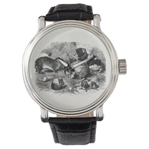 Vintage 1800s Guinea Pig Retro Old Guinea Pigs Watch