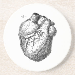 Vintage 1800s Heart Retro Cardiac Anatomy Hearts Coaster