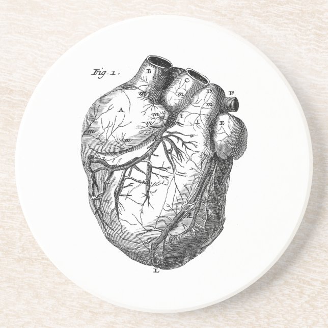 Vintage 1800s Heart Retro Cardiac Anatomy Hearts Coaster (Front)