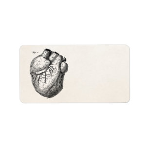 Vintage 1800s Heart Retro Cardiac Anatomy Hearts Label