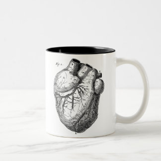 Vintage 1800s Heart Retro Cardiac Anatomy Hearts Two-Tone Coffee Mug