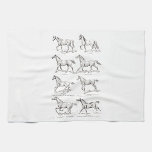Vintage 1800s Horse Gaits Illustration Horses Tea Towel