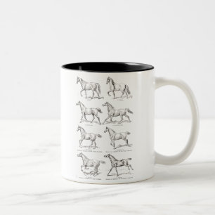 Vintage 1800s Horse Gaits Illustration Horses Two-Tone Coffee Mug