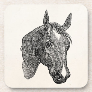 Vintage 1800s Horse Head Illustration Retro Horses Coaster