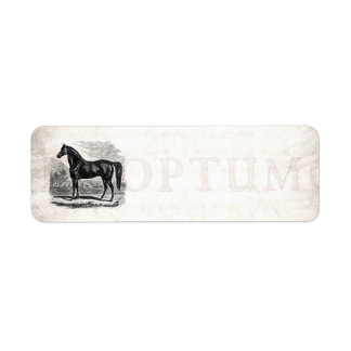 Vintage 1800s Horse - Morgan Equestrian Template