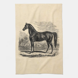 Vintage 1800s Horse - Morgan Equestrian Template Tea Towel