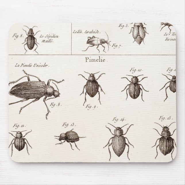 Vintage 1800s Insects Bugs Beetles Illustration Mouse Mat (Front)