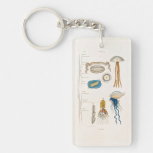 Vintage 1800s Jellyfish Illustration - Jelly Fish Key Ring