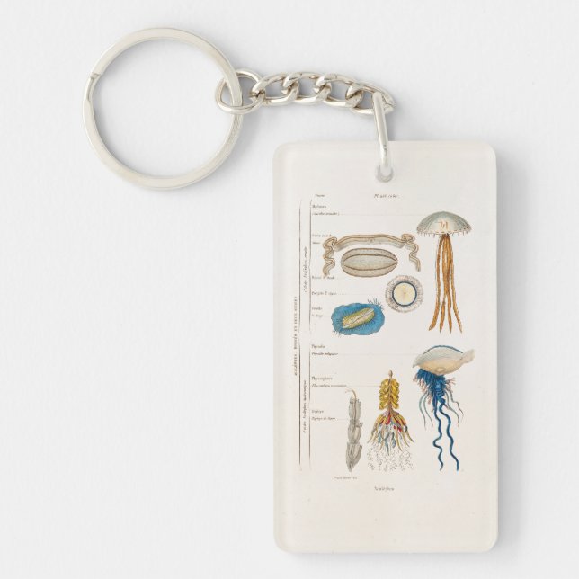 Vintage 1800s Jellyfish Illustration - Jelly Fish Key Ring (Front)