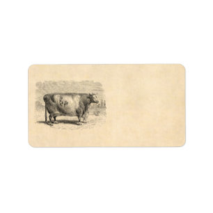 Vintage 1800s Large Durham Cow Retro Cows Template Label