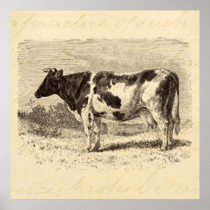 Vintage 1800s Large Dutch Cow Retro Cows Yellow Poster