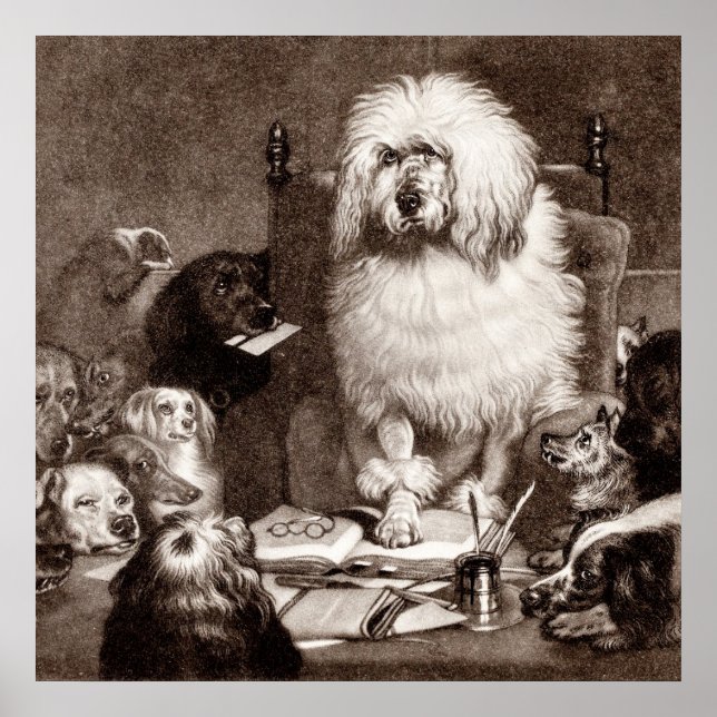 Vintage 1800s Magistrate Poodle w Dogs Template Poster (Front)