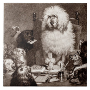 Vintage 1800s Magistrate Poodle w Dogs Template Tile