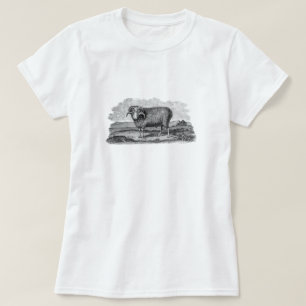 Vintage 1800s Merino Sheep Ram Lamb Template T-Shirt