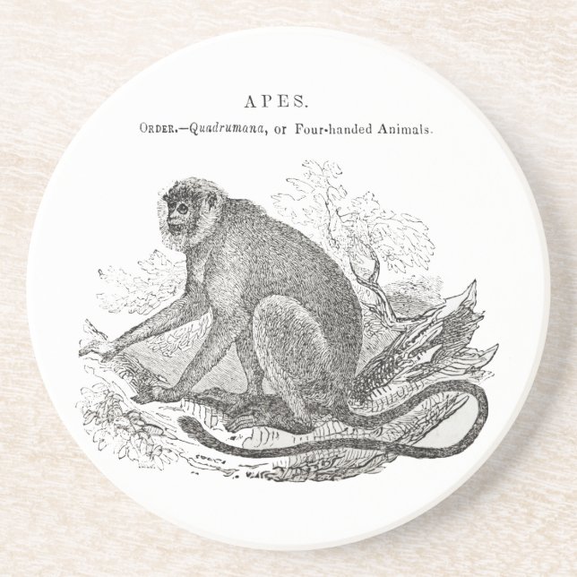 Vintage 1800s monkey art coaster (Front)