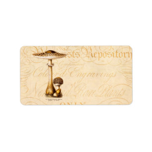 Vintage 1800s Mushroom Agricus Mushrooms Template Label
