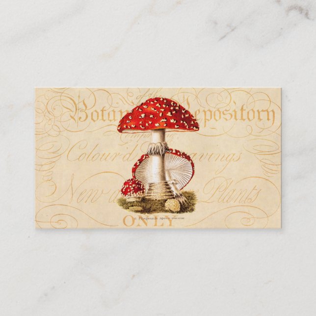 Vintage 1800s Mushroom Red Mushrooms Template Business Card (Front)