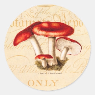 vintage 1800s Mushroom Red Mushrooms Template Classic Round Sticker