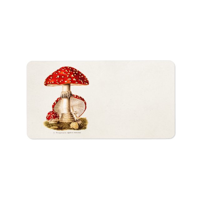 Vintage 1800s Mushroom Red Mushrooms Template Label (Front)