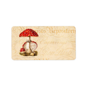Vintage 1800s Mushroom Red Mushrooms Template Label