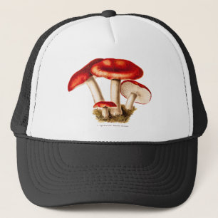 Vintage 1800s Mushroom Red Mushrooms Template Trucker Hat