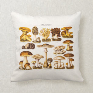 Vintage 1800s Mushroom Variety  Mushrooms Template Cushion