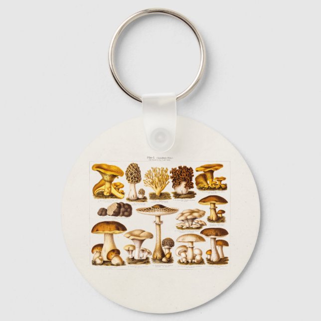 Vintage 1800s Mushroom Variety  Mushrooms Template Key Ring (Front)