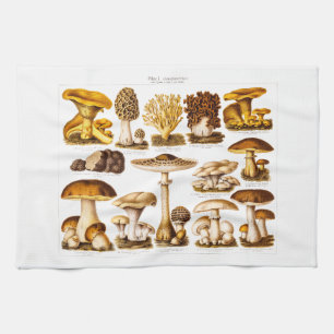 Vintage 1800s Mushroom Variety  Mushrooms Template Tea Towel