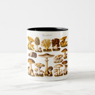 Vintage 1800s Mushroom Variety Mushrooms Template Two-Tone Coffee Mug