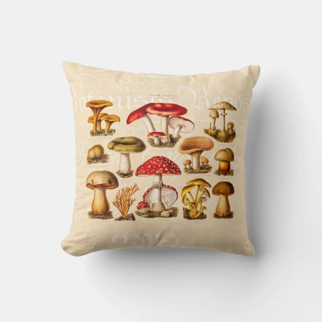 Vintage 1800s Mushroom Variety Red Mushrooms Cushion (Front)