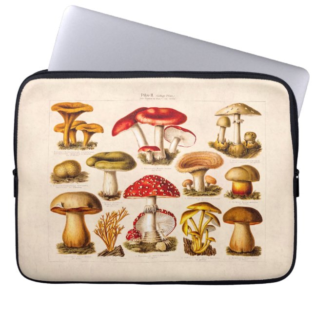 Vintage 1800s Mushroom Variety Red Mushrooms Laptop Sleeve (Front)
