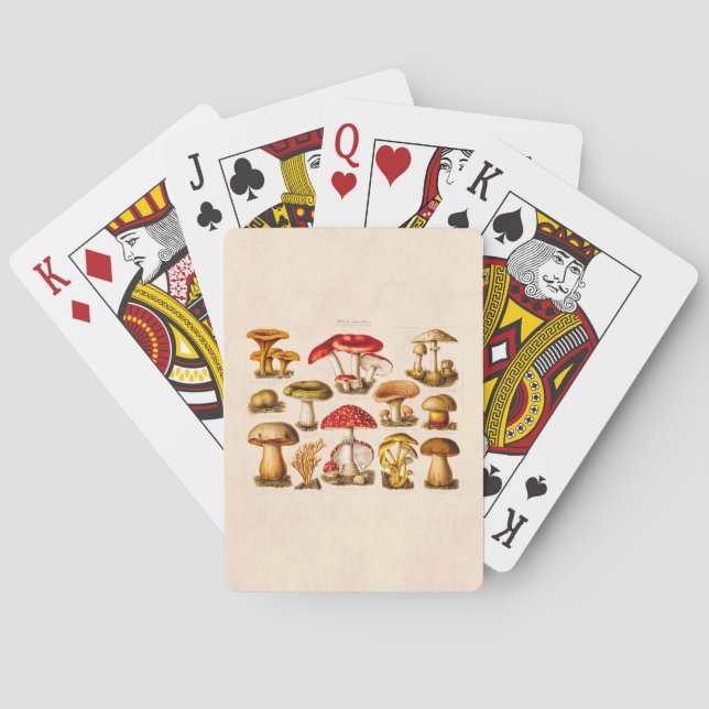 Vintage 1800s Mushroom Variety Red Mushrooms Playing Cards (Back)