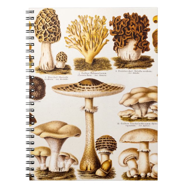 Vintage 1800s Mushroom Variety Template Notebook (Front)