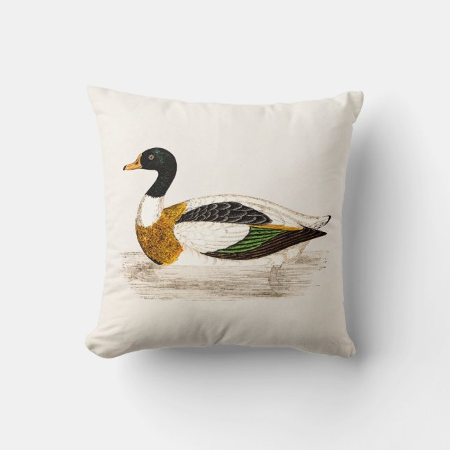 Vintage 1800s Old Drake Duck Illustration - Ducks Cushion (Front)