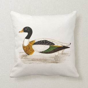 Vintage 1800s Old Drake Duck Illustration - Ducks Cushion