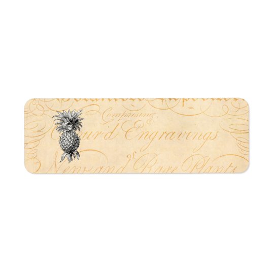 Vintage 1800s Pineapple Illustration Botany Return Address Label