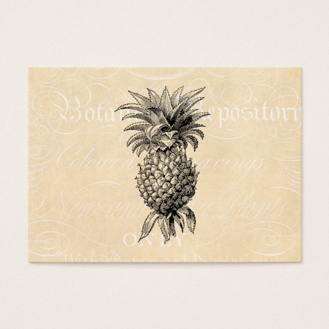 Vintage 1800s Pineapple Illustration Pineapples (Front)