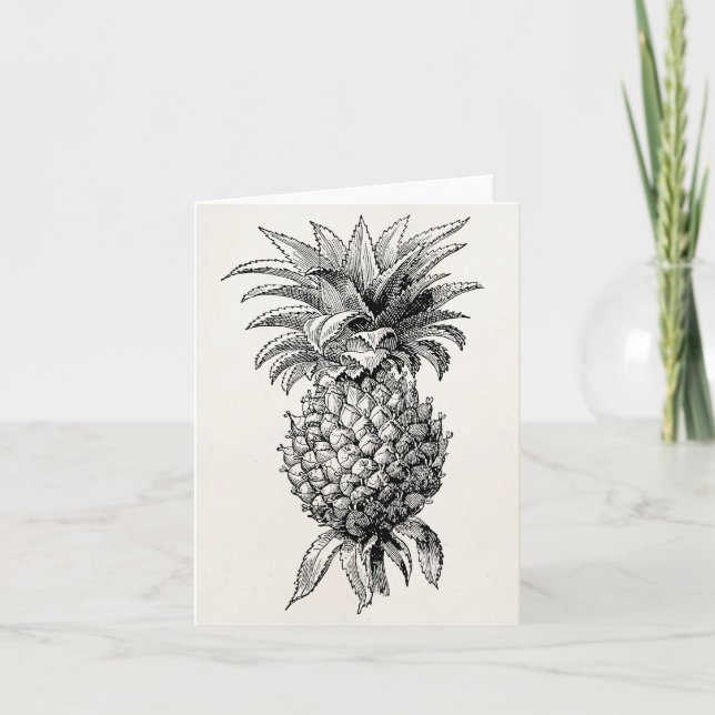 Vintage 1800s Pineapple Illustration Pineapples Card (Front)
